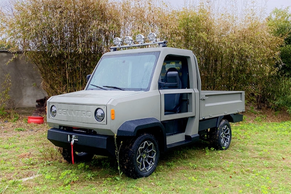 Utilitaire Électrique Série TERRAMAK