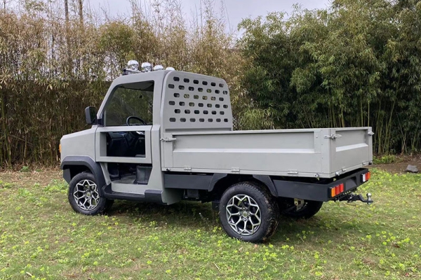 Utilitaire Électrique Série TERRAMAK